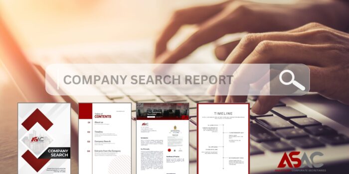 Company SEARCH REPORT #image_title