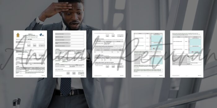 Ensuring Corporate Compliance with Accurate Annual Returns A collection of official forms for corporate compliance, prominently labeled "FORM 15 Annual Return," alongside fields for essential company information such as directors, shareholders, and secretary details.